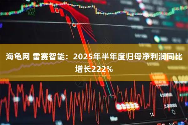 海龟网 雷赛智能：2025年半年度归母净利润同比增长222%