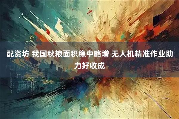 配资坊 我国秋粮面积稳中略增 无人机精准作业助力好收成